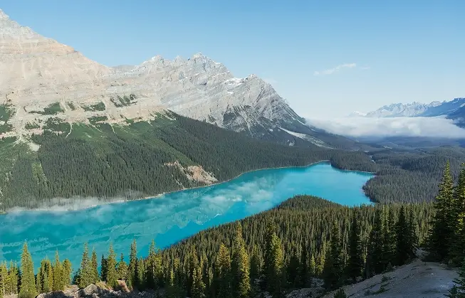 Banff Autobus Link shuttle bus